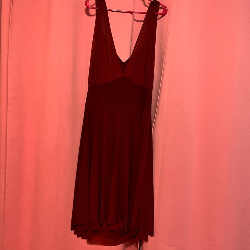 Alyn Paige New York Burgundy Wine Red Wine Formal Dress 18W Prom